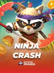 Ninja Crash